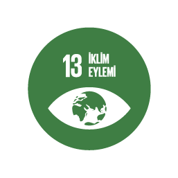 SKA 13 — İklim Eylemi
