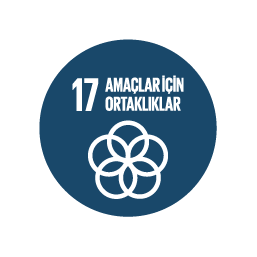SKA 17 — Amaçlar İçin Ortaklıklar