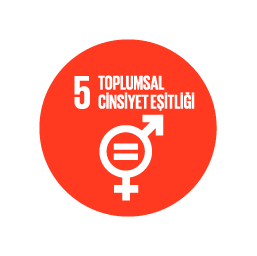 SKA 5 — Toplumsal Cinsiyet Eşitliği