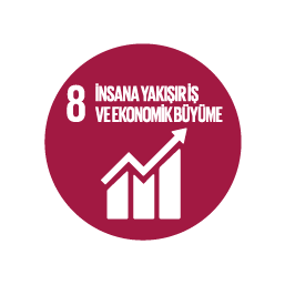 SKA 8 — İnsana Yakışır İş ve Ekonomik Büyüme