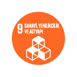 SKA 9 — Sanayi, Yenilikçilik ve Altyapı